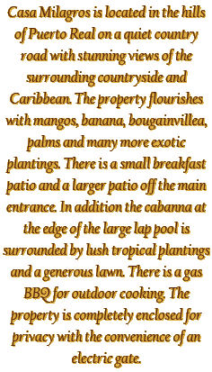 Casa Milagros is located in the hills of
			Puerto Real on a quiet country road
			with stunning views of the surrounding
			countryside and Caribbean. The property
			flourishes with mangos, banana,
			bougainvillea, palms and many
			more exotic plantings. There is a small
			breakfast patio and a larger patio off
			the main entrance. In addition the
			 cabanna at the edge of the large lap pool
			is surrounded by lush tropical  plantings
			and a generous lawn. There is a gas
			BBQ for outdoor cooking. The property
			is completely enclosed for privacy with
			the convenience of an electric gate.